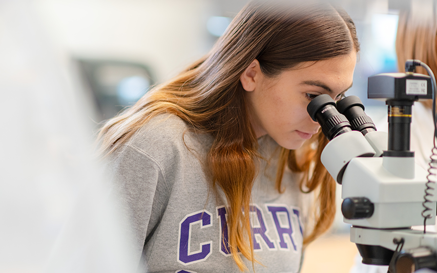 Student pursuing a Biology degree at Curry College in the lab