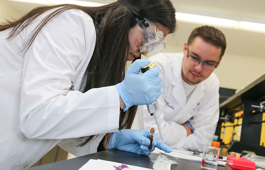 Students in a lab represent the Exploratory Health Professions Program at Curry College