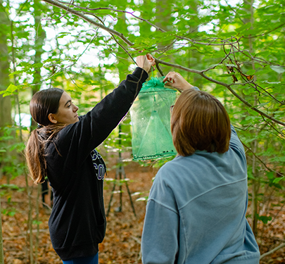Curry College student and faculty member conduct research on the wooded Milton campus