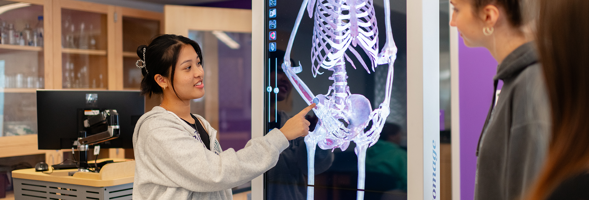Students interact with the anatomage table at the Curry College Science and Research Center
